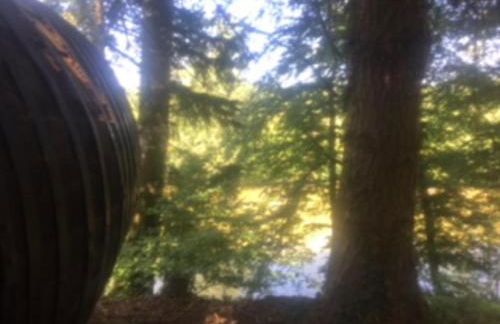 Unique & serene 1-Bed Cabin close to Domfront - Foto 13