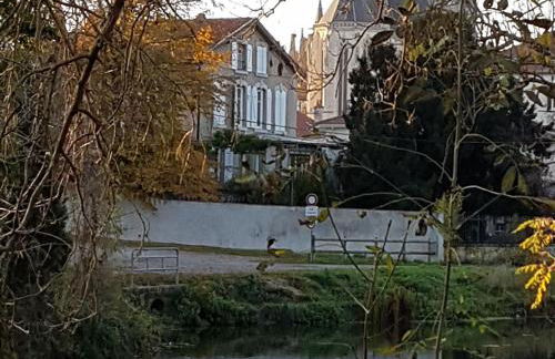 Grand appartement 6 pers., cadre calme, proche Nancy et Lunéville, toutes commodités, tout inclus - FR-1-584-179 - Foto 3