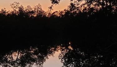 Bridge Escape - Foto 5