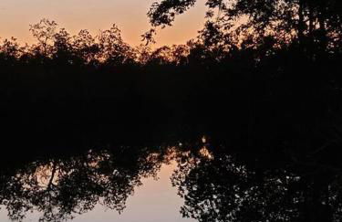 Bridge Escape - Foto 5