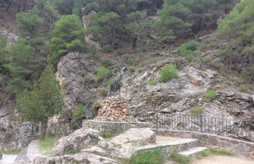 Suite La Fuente - Photo 33