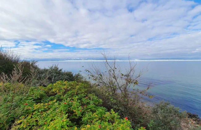 5 Person Holiday Home in Tisvildeleje - Foto 31