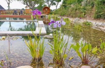 Ferienwohnung „Appelboom“ - Hof Mühlenkoppel - Foto 10