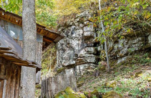 Karolina Rose- Luxury Cabin w/ Hot Tub + 1-UTV - Foto 15