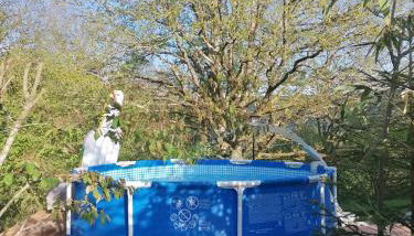 Schwarzwald Appartement - Foto 5