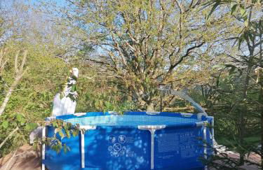 Schwarzwald Appartement - Foto 5