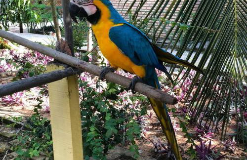 Chacara do Alemao - Foto 33