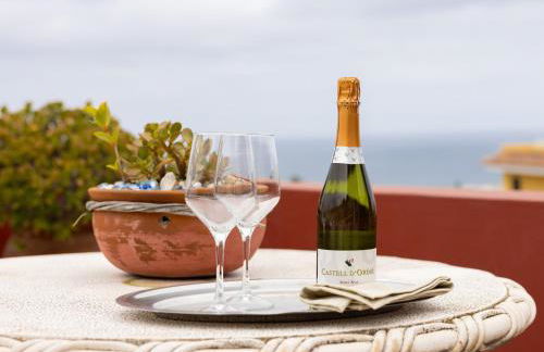 Live La Punta del Hidalgo Center - Foto 7