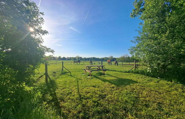 Modern Chalet With Nice Sliding Doors Near Lochem - Foto 36