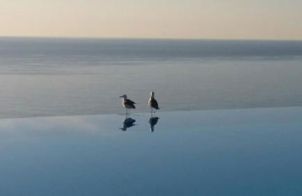 Appartement Zen Costa Plana - Foto 29