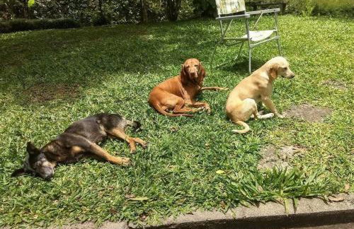 Sítio Preguiça - Foto 30