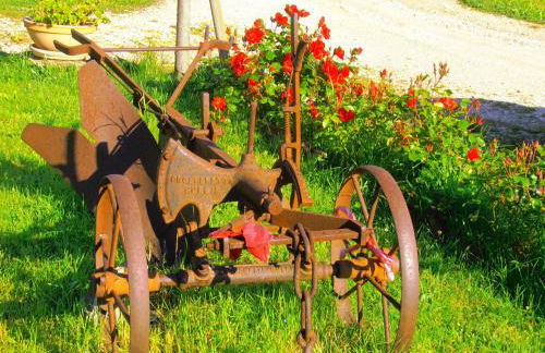 appartamento Colticciola Agriturismo Marche - Foto 34