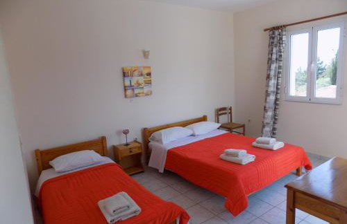 JERRY'S STUDIOS LASSI - Photo 49