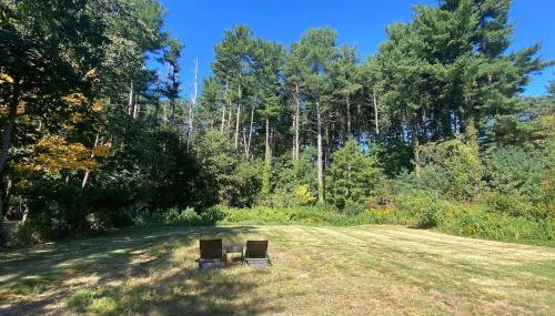 Cozy en suite with high ceilings - Foto 2