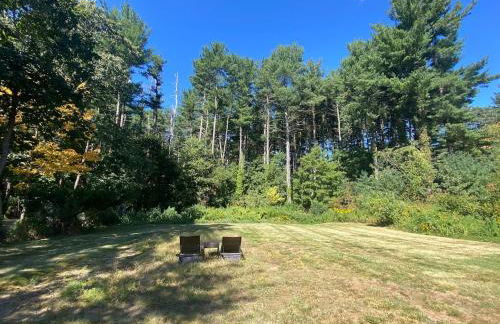 Cozy en suite with high ceilings - Foto 2