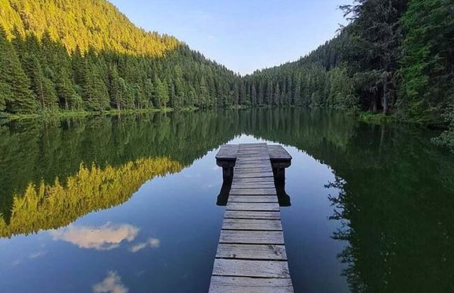 Apartment in St. Lambrecht Near ski Area - Foto 25