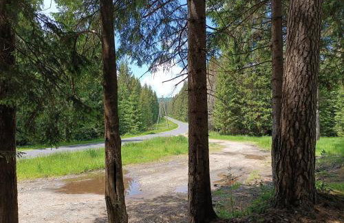 Strażnica Pod Lasem - Foto 78