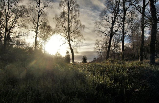 Rowan Tree Country - Foto 6
