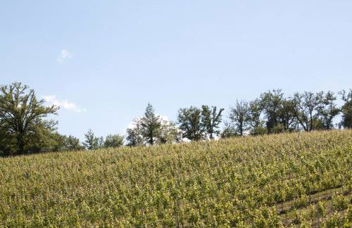 Palazzo Tronconi agriturismo - Foto 5