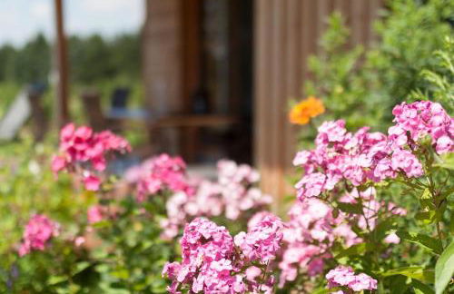 Gemütliche Chalets & Ferienhäuser mit Kamin und Sauna im bayrischen Wald - Foto 15