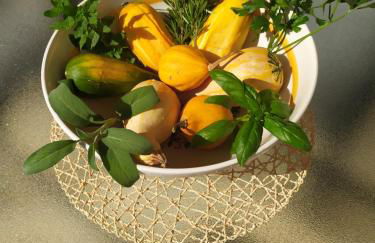 Casina nel Salento - Foto 52