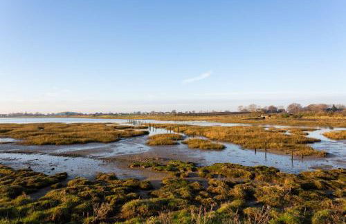 Snow Goose - Foto 20