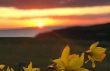 Bunnahabhain 5 - Farm Stay - Stunning sea and rural views - Photo 34