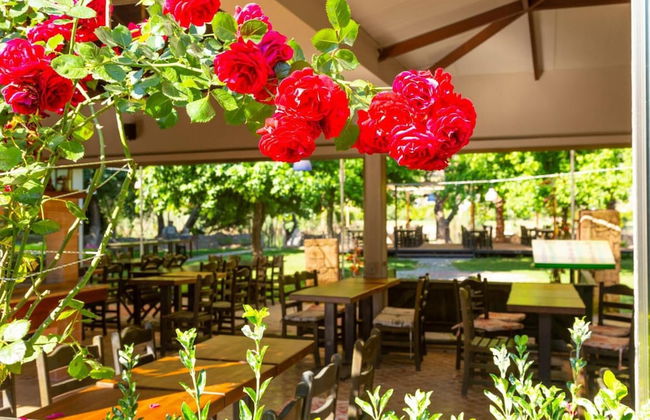 Villa Deniz Paradise - Photo 21