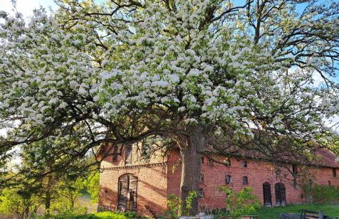 Apartamenty LOS NOBLES w spokojnej okolicy w pobliżu jeziora - Foto 9