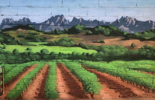 Ca la Trini - turisme rural - Foto 39