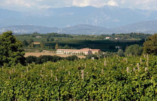 Relais Corte Guastalla Apartments - Foto 16