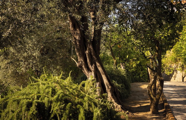 Villa Oriana Relais - Photo 71