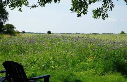 Landhaus Gonnsen - Foto 34