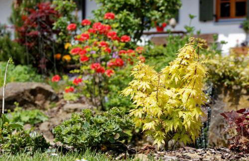 Haus Jägerfleck, Ihre Ferienwohnungen am Nationalpark Bayerischer Wald - Foto 39