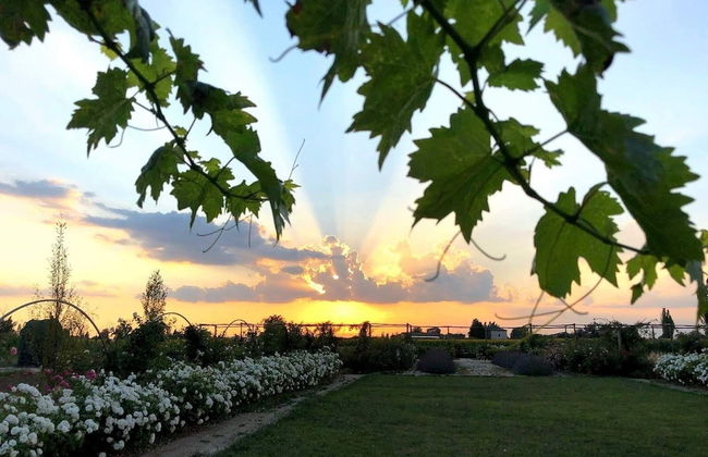 Il Fienile di Assisi - Foto 68