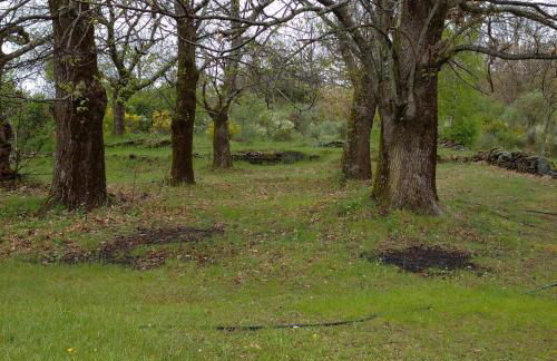 Casa Rural Leonor - Foto 21