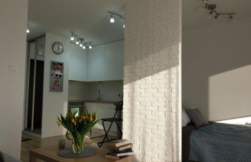 Apartament Zamojska - GarwoNocka - Foto 17