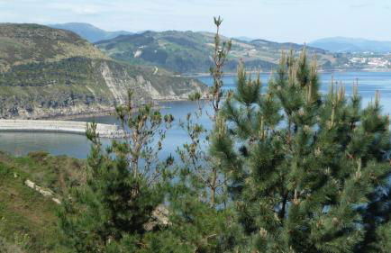 Agroturismo Itxaspe - Foto 111