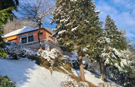 Waldhaus zum gechillten Hirsch in der Natur, bei der Moseltherme Traben-Trarbach - Foto 45