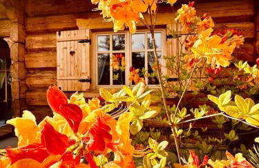 Sękata Chata - drewniany domek z jacuzzi - Foto 8