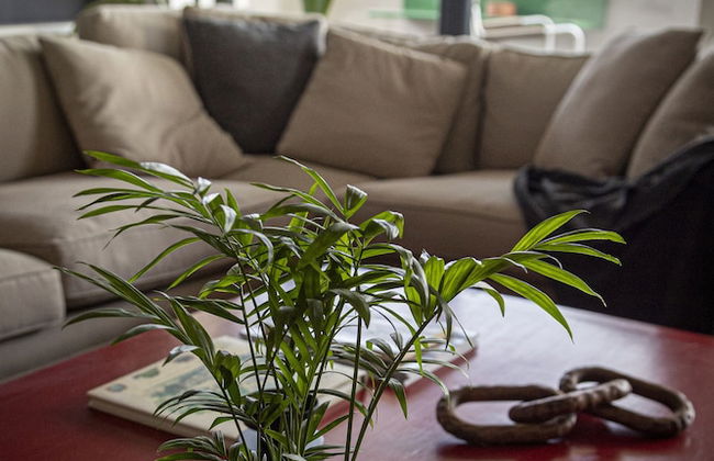 GALATA M84 - Foto 35