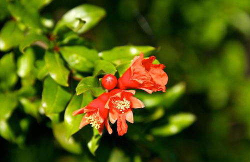 Casa Conti di Sotto - Foto 49