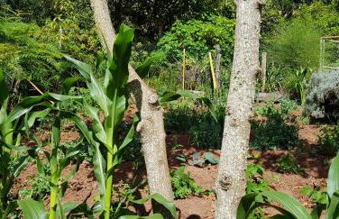 Cuevas De Barreto - Foto 57