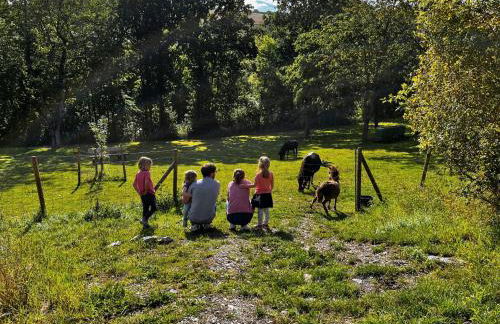 Conzen Hof am Hennesee - Foto 12