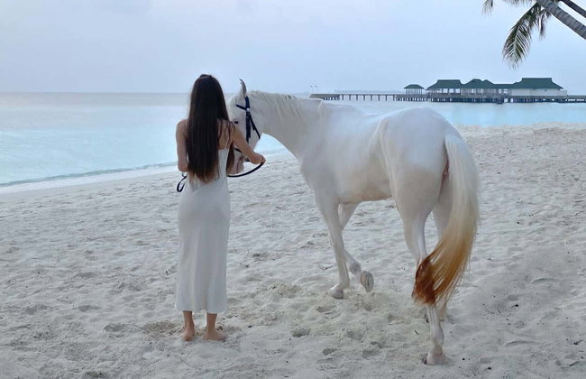 Paseo a caballo por Holbox - Foto 8