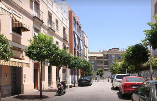 Golondrina - Foto 16