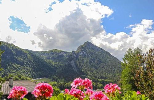 Gästehaus Weinrebe - Foto 29