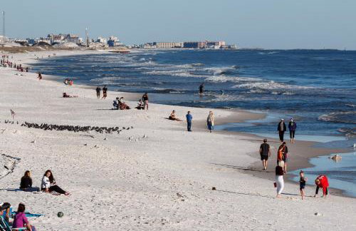 Pirates Bay B114 - Foto 43