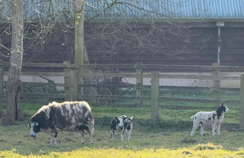 Charming 2 bedroom Lodge In the Shropshire Countryside with Fantastic Views - Foto 17