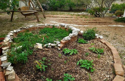 Apartmani Milena - Foto 59